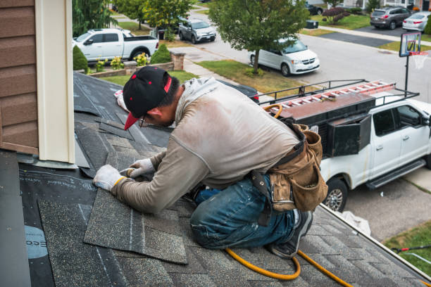 Professional Storm Damage Roof Repair technician working in Canton, IL
